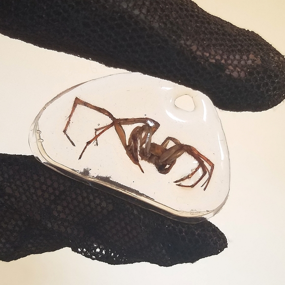 🦇𝕸𝖞 𝕺𝖉𝖉𝖎𝖙𝖞 𝕾𝖍𝖔𝖕🦇 - Picture 10 of 16